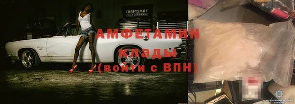 стафф Иннополис