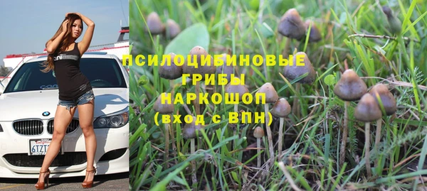 эйфоретик Зеленокумск