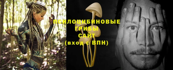 гидропоника Зерноград