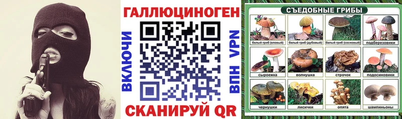 Купить где  Краснознаменск  Галлюциногенные грибы GOLDEN TEACHER 
